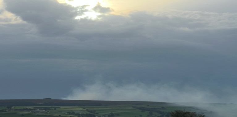 Diary entry 79.squall-longleg.15.4