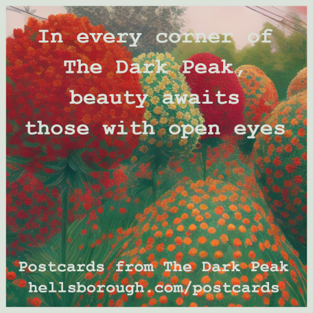 Subscribe to Postcards from The Dark Peak social advert 6