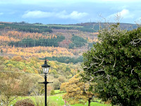 Amazing Autumn colours looking towards Wharncliffe Chase